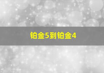 铂金5到铂金4