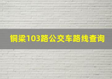 铜梁103路公交车路线查询