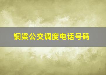 铜梁公交调度电话号码