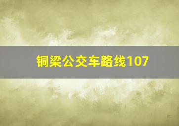 铜梁公交车路线107