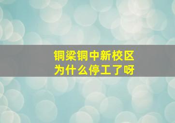 铜梁铜中新校区为什么停工了呀