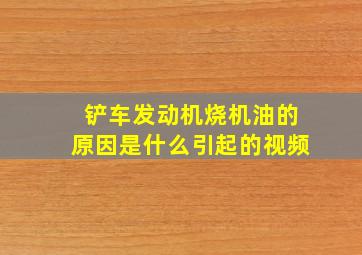 铲车发动机烧机油的原因是什么引起的视频