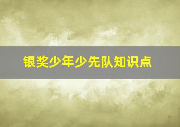 银奖少年少先队知识点