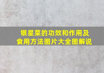 银星菜的功效和作用及食用方法图片大全图解说