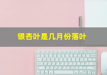 银杏叶是几月份落叶