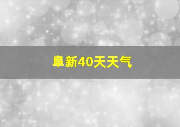 阜新40天天气