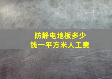 防静电地板多少钱一平方米人工费