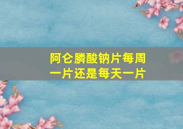 阿仑膦酸钠片每周一片还是每天一片