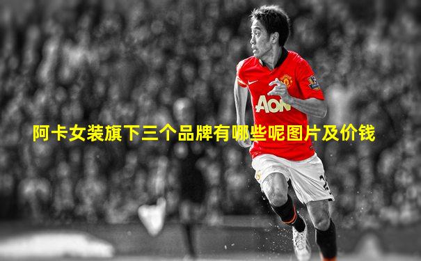 阿卡女装旗下三个品牌有哪些呢图片及价钱