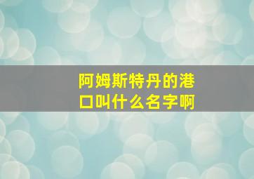 阿姆斯特丹的港口叫什么名字啊