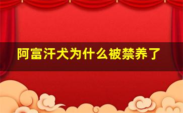 阿富汗犬为什么被禁养了