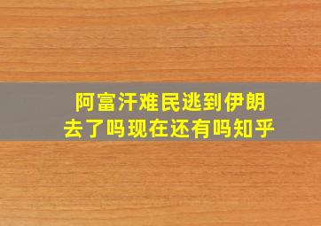 阿富汗难民逃到伊朗去了吗现在还有吗知乎