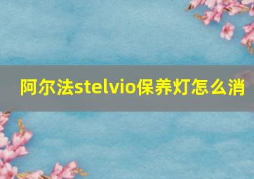 阿尔法stelvio保养灯怎么消