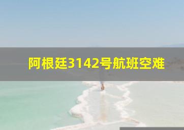 阿根廷3142号航班空难