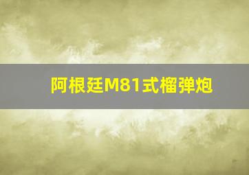 阿根廷M81式榴弹炮