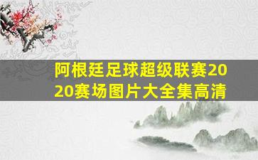 阿根廷足球超级联赛2020赛场图片大全集高清