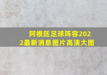 阿根廷足球阵容2022最新消息图片高清大图