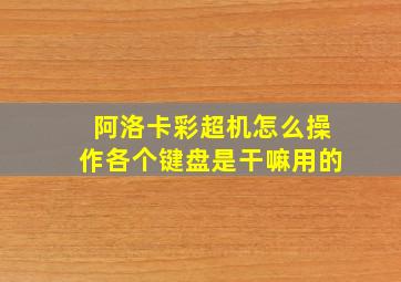 阿洛卡彩超机怎么操作各个键盘是干嘛用的