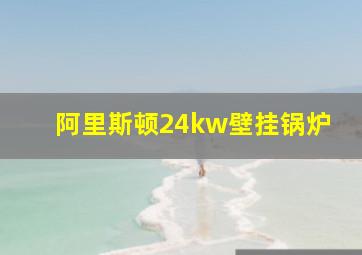 阿里斯顿24kw壁挂锅炉