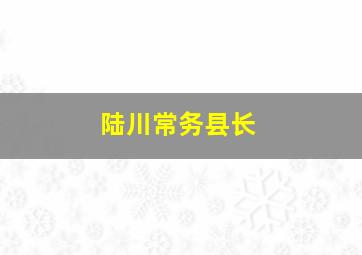 陆川常务县长