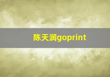 陈天润goprint