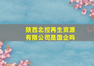 陕西北控再生资源有限公司是国企吗