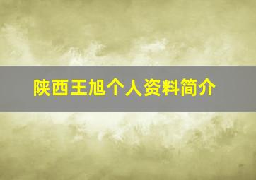 陕西王旭个人资料简介