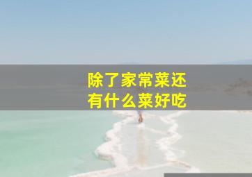 除了家常菜还有什么菜好吃