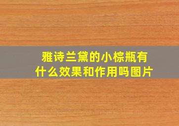 雅诗兰黛的小棕瓶有什么效果和作用吗图片