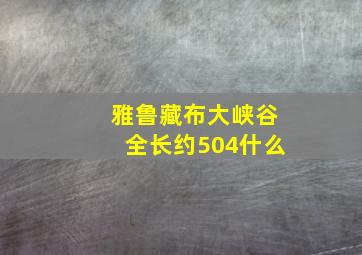 雅鲁藏布大峡谷全长约504什么