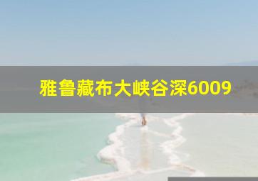 雅鲁藏布大峡谷深6009