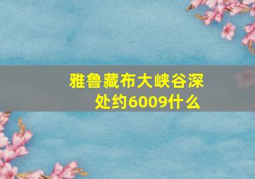 雅鲁藏布大峡谷深处约6009什么