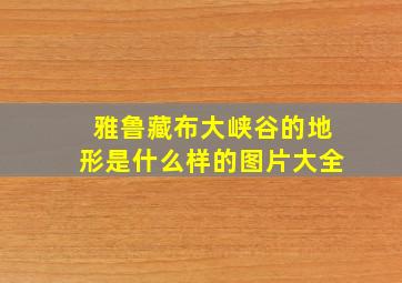 雅鲁藏布大峡谷的地形是什么样的图片大全