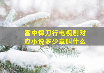 雪中悍刀行电视剧对应小说多少章叫什么