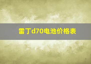 雷丁d70电池价格表