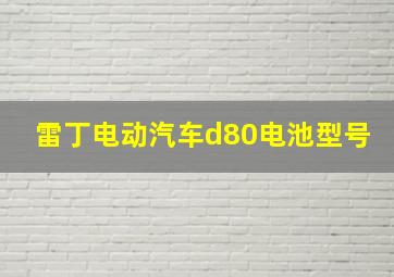 雷丁电动汽车d80电池型号