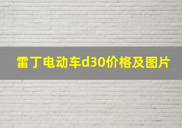 雷丁电动车d30价格及图片