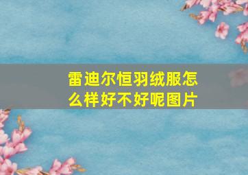 雷迪尔恒羽绒服怎么样好不好呢图片