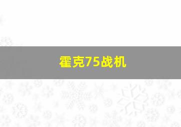 霍克75战机