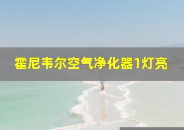 霍尼韦尔空气净化器1灯亮