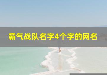 霸气战队名字4个字的网名