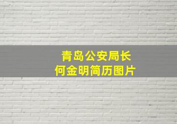 青岛公安局长何金明简历图片