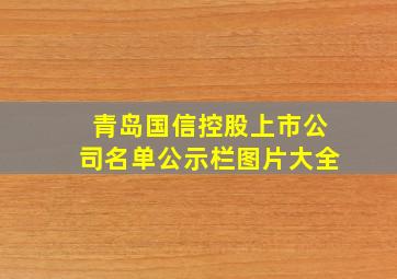 青岛国信控股上市公司名单公示栏图片大全