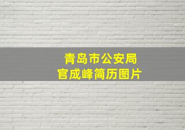 青岛市公安局官成峰简历图片