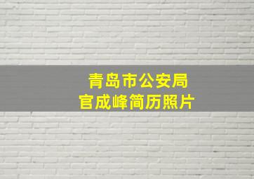 青岛市公安局官成峰简历照片