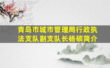 青岛市城市管理局行政执法支队副支队长杨硕简介