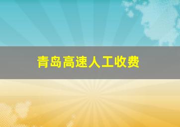 青岛高速人工收费