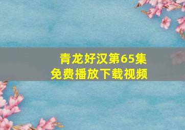 青龙好汉第65集免费播放下载视频