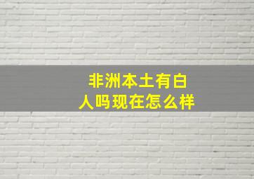 非洲本土有白人吗现在怎么样