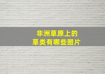 非洲草原上的草类有哪些图片